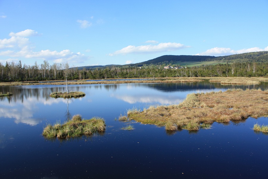 peat-bog 