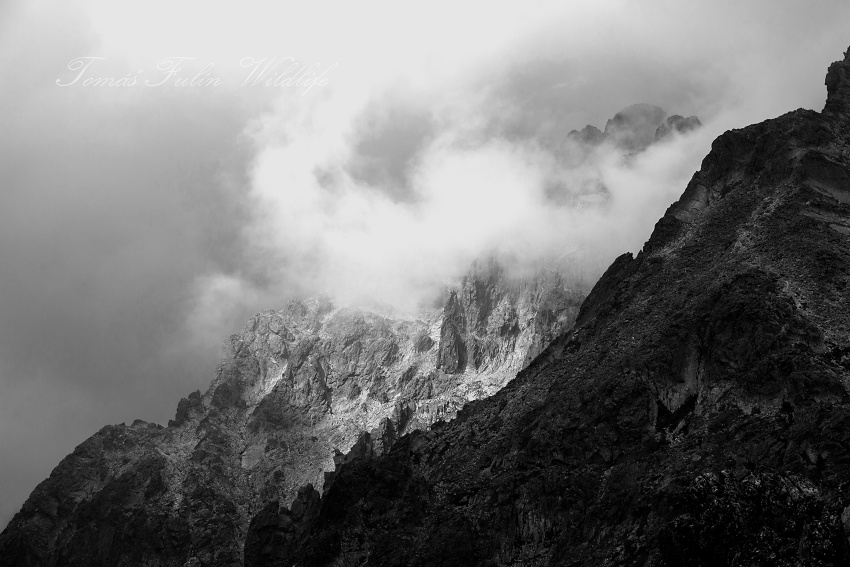 Vysoké Tatry