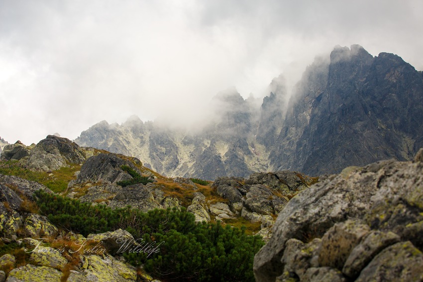 Vysoké Tatry